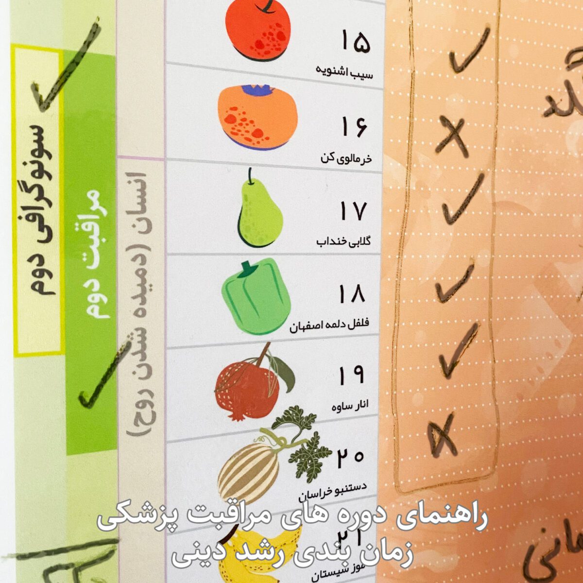 10-copy تقویم بارداری دیواری عرش دیس