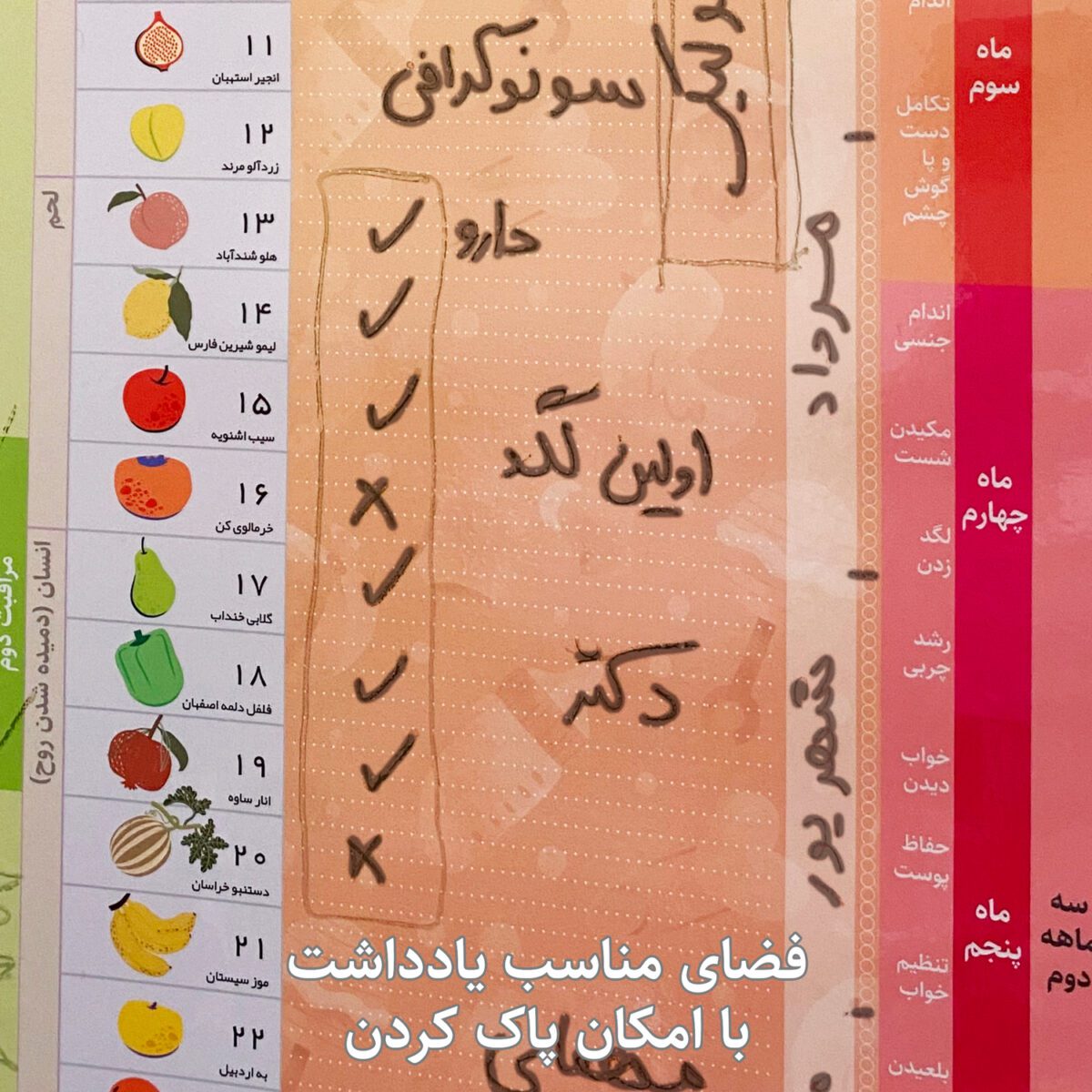 11-copy تقویم بارداری دیواری عرش دیس