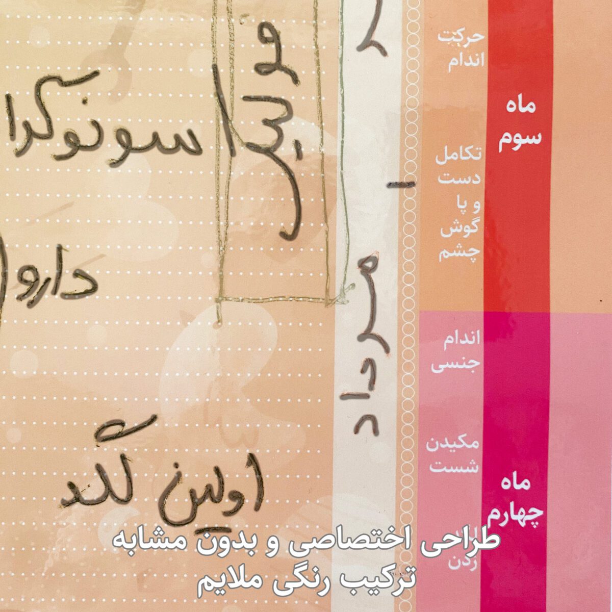 12-copy