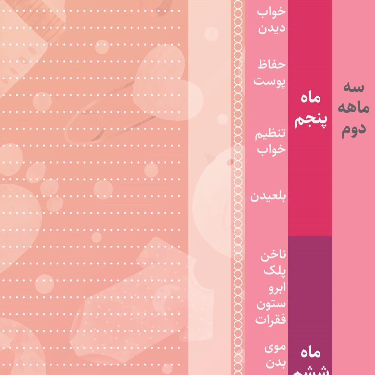 13 تقویم بارداری دیواری عرش دیس