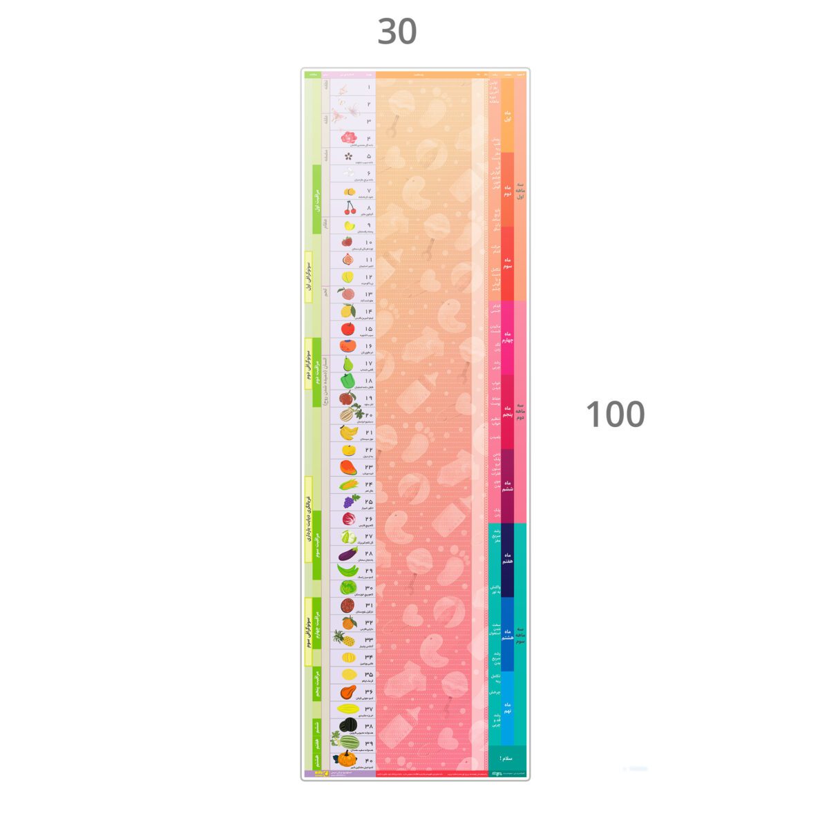 FP-PPD-0803