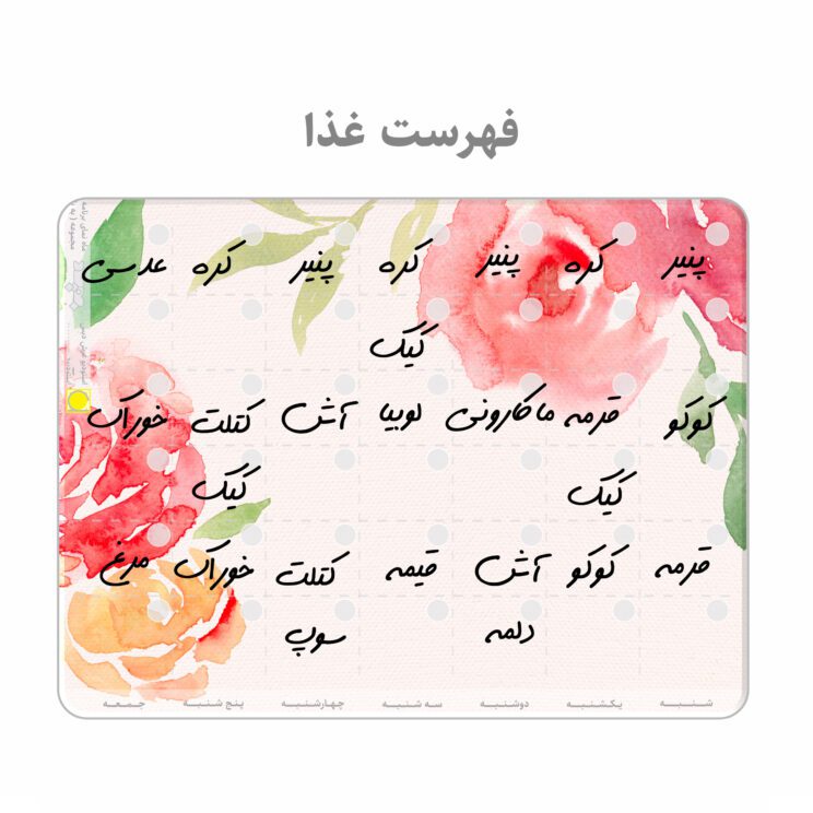 برنامه ریز پلنر یخچالی وایت برد عرش دیس