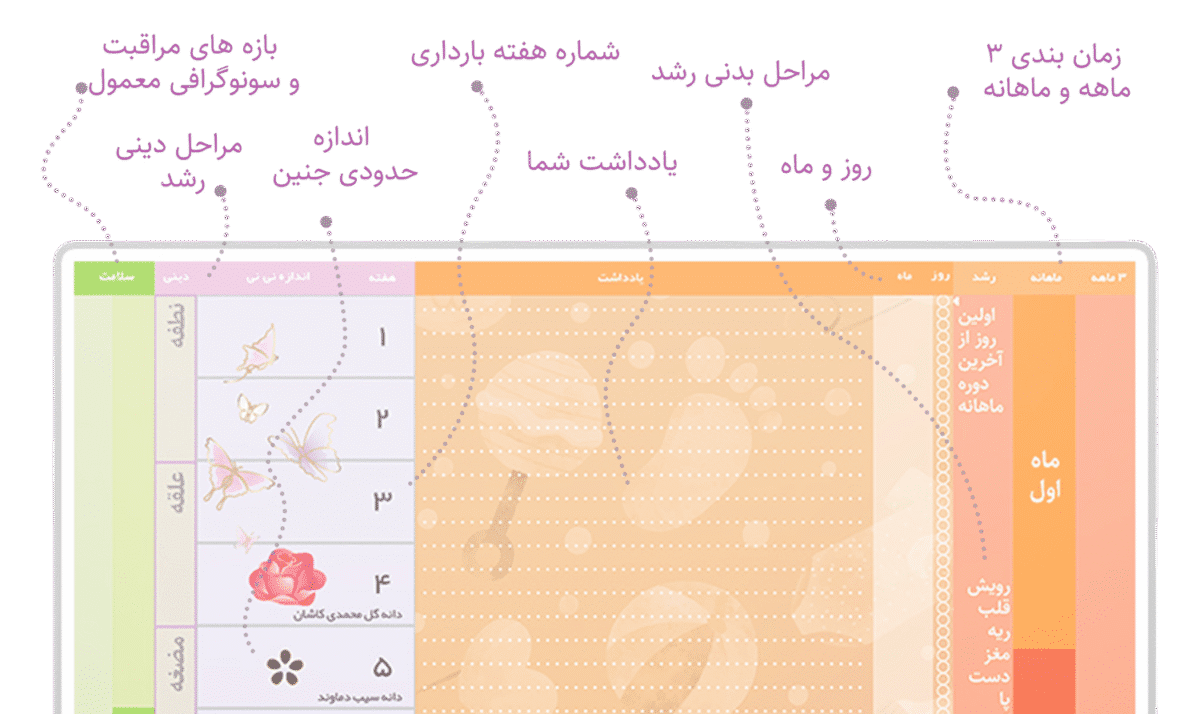 تقویم بارداری دیواری عرش دیس