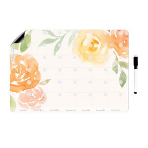 برنامه ریز پلنر یخچالی وایت برد عرش دیس